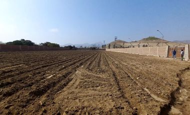 VENDO TERRENO EN MALA – CAÑETE - KM 92.5 ANTIGUA CARRETERA PANAMERICANA SUR