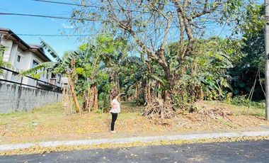 Lot for sale in Don Jose Heights Commonwealth