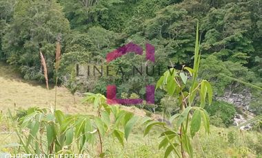 Propiedad en venta a una hora de Ibarra, JUNTO GUANABANA REPUBLIC