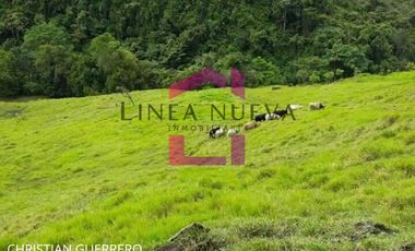 Propiedad en venta a una hora de Ibarra, JUNTO GUANABANA REPUBLIC