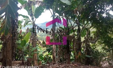 Propiedad en venta a una hora de Ibarra, JUNTO GUANABANA REPUBLIC