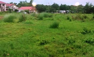 2 Hectares Lot for Sale located near Meycauayan Cityhall, Meycauayan, Bulacan