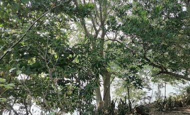 Terreno con casa en Playa de Vaca, Medellin. GVT-0240