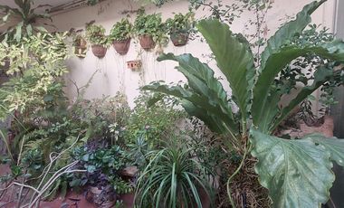 amueblado en zona segura y bonita