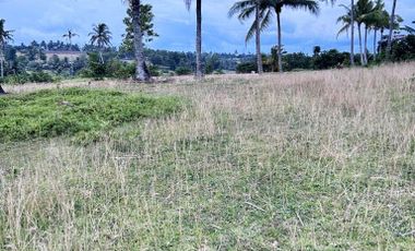 For Sale Titled 5.5 Hectares Land in Barili Cebu. Accept Terms