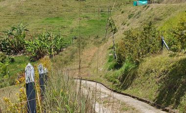 Lotes 1 de 5.378 m2 y 2 de 9.642 m2 El mejor precio de la zona $70.000 m2 Con Escrituras al 100%
