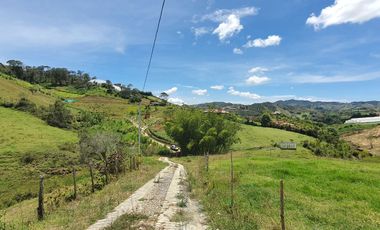 Lotes 1 de 5.378 m2 y 2 de 9.642 m2 El mejor precio de la zona $70.000 m2 Con Escrituras al 100%
