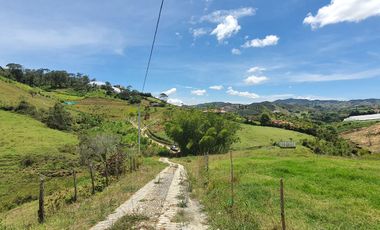 Lotes 1 de 5.378 m2 y 2 de 9.642 m2 El mejor precio de la zona $70.000 m2 Con Escrituras al 100%