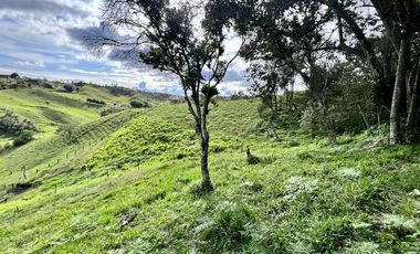 Lotes 1 de 5.378 m2 y 2 de 9.642 m2 El mejor precio de la zona $70.000 m2 Con Escrituras al 100%