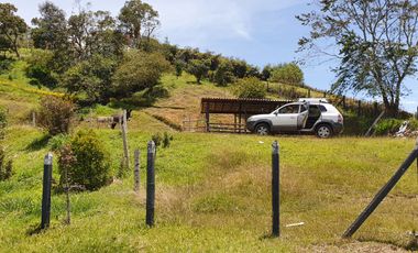 Lotes 1 de 5.378 m2 y 2 de 9.642 m2 El mejor precio de la zona $70.000 m2 Con Escrituras al 100%