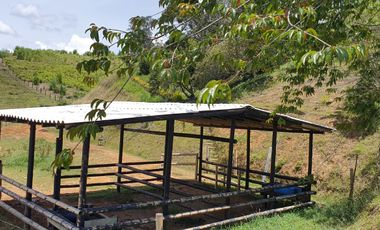 Lotes 1 de 5.378 m2 y 2 de 9.642 m2 El mejor precio de la zona $70.000 m2 Con Escrituras al 100%