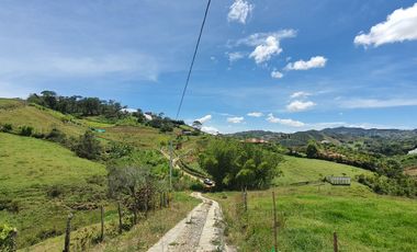 Lotes 1 de 5.378 m2 y 2 de 9.642 m2 El mejor precio de la zona $70.000 m2 Con Escrituras al 100%