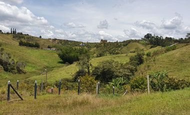 Lotes 1 de 5.378 m2 y 2 de 9.642 m2 El mejor precio de la zona $70.000 m2 Con Escrituras al 100%