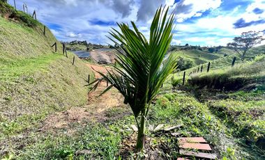 Lotes 1 de 5.378 m2 y 2 de 9.642 m2 El mejor precio de la zona $70.000 m2 Con Escrituras al 100%