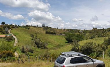 Lotes 1 de 5.378 m2 y 2 de 9.642 m2 El mejor precio de la zona $70.000 m2 Con Escrituras al 100%