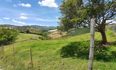 Lotes 1 de 5.378 m2 y 2 de 9.642 m2 El mejor precio de la zona $70.000 m2 Con Escrituras al 100%