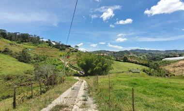 Lotes 1 de 5.378 m2 y 2 de 9.642 m2 El mejor precio de la zona $70.000 m2 Con Escrituras al 100%