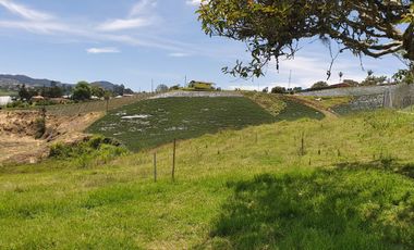Lotes 1 de 5.378 m2 y 2 de 9.642 m2 El mejor precio de la zona $70.000 m2 Con Escrituras al 100%
