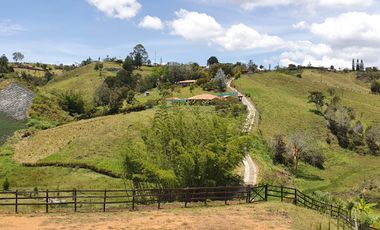 Lotes 1 de 5.378 m2 y 2 de 9.642 m2 El mejor precio de la zona $70.000 m2 Con Escrituras al 100%