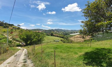 Lotes 1 de 5.378 m2 y 2 de 9.642 m2 El mejor precio de la zona $70.000 m2 Con Escrituras al 100%