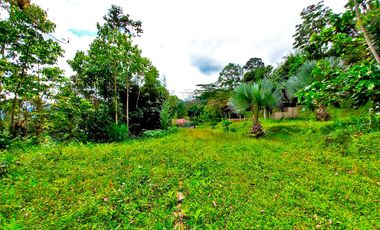 FINCA EN VENTA UBICADA EN LA VEREDA LAS ANGUSTIAS