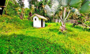 FINCA EN VENTA UBICADA EN LA VEREDA LAS ANGUSTIAS