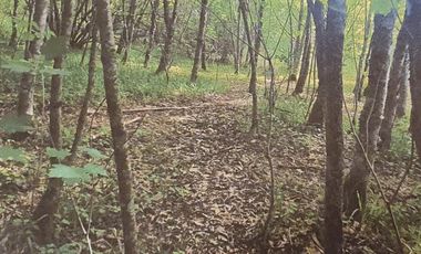 TERRENO URBANO EN VENTA, ANGACHILLA 1000, VALDIVIA