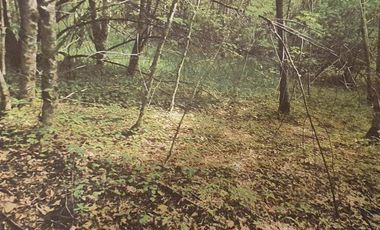 TERRENO URBANO EN VENTA, ANGACHILLA 1000, VALDIVIA