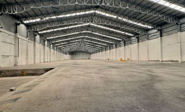 Nave Industrial Zona Finsa