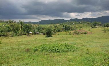 Psalm Ville Heights Subdivision Barili(Residential Lot) Pre-selling