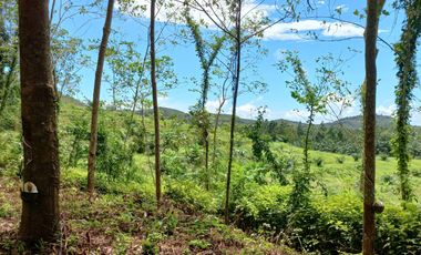 3 rai of hillside land with mountain and slight sea view for sale in Lo Yung, Phangnga.