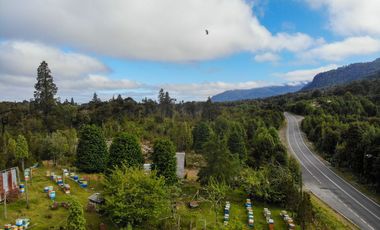 Campo de 150 hectáreas - Hualaihué - Región de Los Lagos