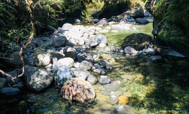 Campo de 150 hectáreas - Hualaihué - Región de Los Lagos