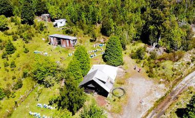 Campo de 150 hectáreas - Hualaihué - Región de Los Lagos