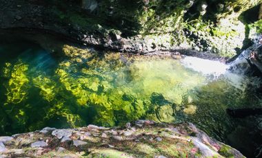 Campo de 150 hectáreas - Hualaihué - Región de Los Lagos