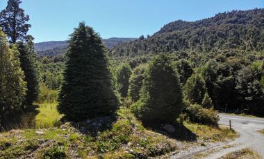 Campo de 150 hectáreas - Hualaihué - Región de Los Lagos