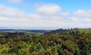 Campo de 150 hectáreas - Hualaihué - Región de Los Lagos