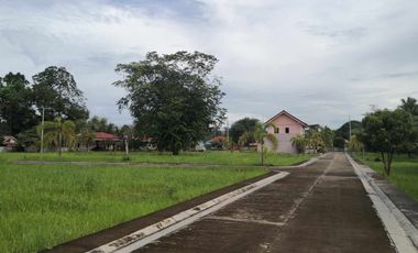 157 sq.m Buildable Land for Sale in Villa Sta. Catalina, Carcar, Cebu
