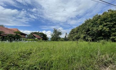 ที่ดิน สำหรับขาย ใน Mae Rim District, Chiang Mai