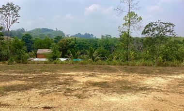 Almost 2 rai of vacant land with excellent mountain and forest views is for sale in Thayu, Phangnga.