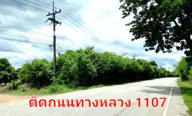Land for sales :  Located on main street with 244 meters width & next to River Ping, Tak Province   84 RAI at 22.04 MB
