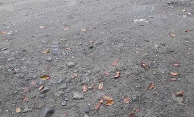 2 LOTS FOR SALE IN DUMAGUETE ID 14900