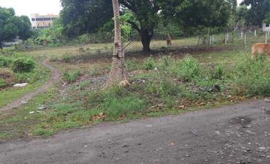 2 LOTS FOR SALE IN DUMAGUETE ID 14900