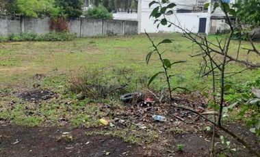2 LOTS FOR SALE IN DUMAGUETE ID 14900
