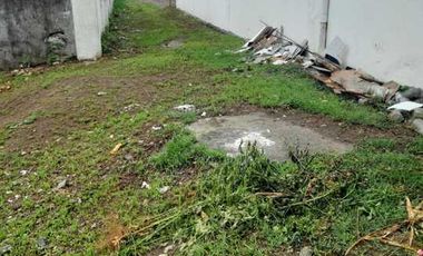 2 LOTS FOR SALE IN DUMAGUETE ID 14900