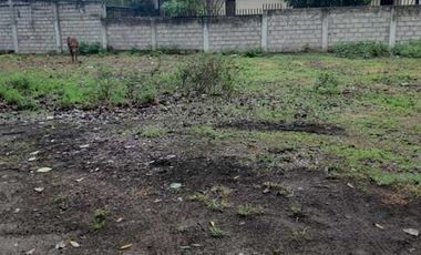2 LOTS FOR SALE IN DUMAGUETE ID 14900