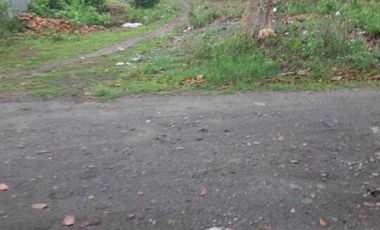 2 LOTS FOR SALE IN DUMAGUETE ID 14900