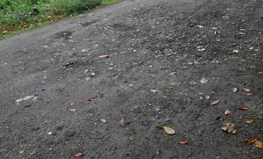 2 LOTS FOR SALE IN DUMAGUETE ID 14900