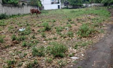 2 LOTS FOR SALE IN DUMAGUETE ID 14900