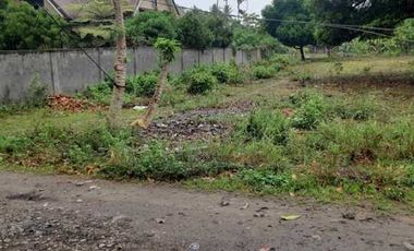 2 LOTS FOR SALE IN DUMAGUETE ID 14900